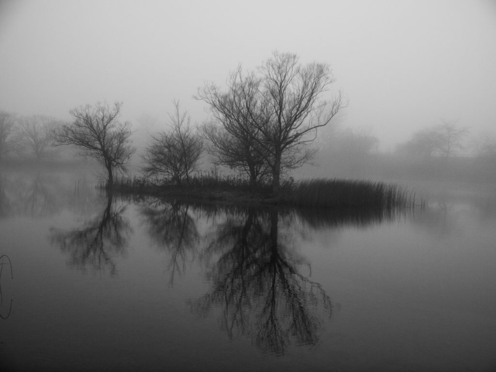 2016 Glimpses of Greece Honorable Mention – “Misty Island Pond at 390”