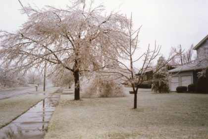 1991 Ice Storm Aftermath